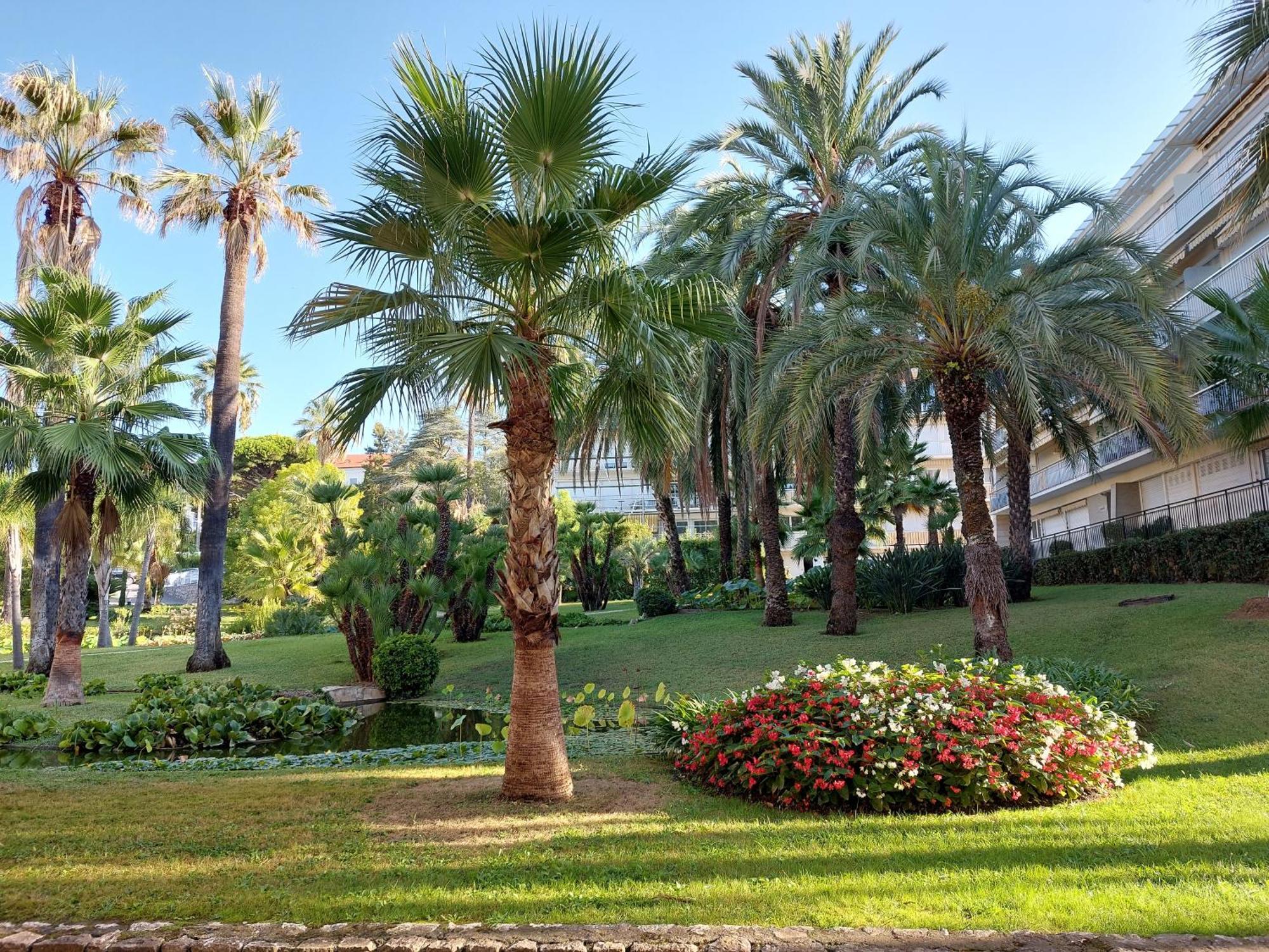 Studio Montrose Cannes - Axelle Loc'Appart ภายนอก รูปภาพ