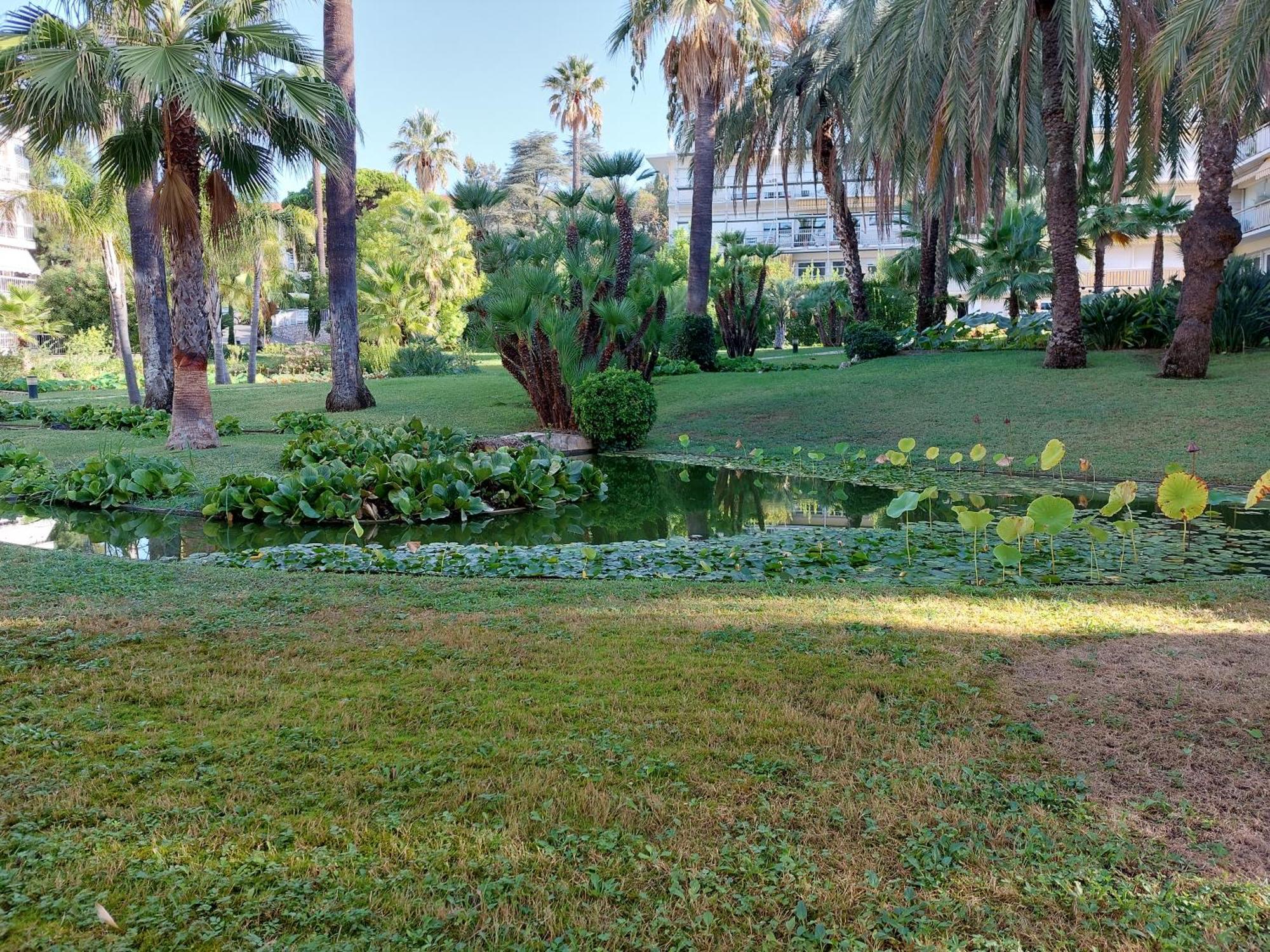 Studio Montrose Cannes - Axelle Loc'Appart ภายนอก รูปภาพ
